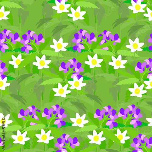 Bittercresses toothworts anemone forest plant violet white flowers green leaves seamless pattern stock vector illustration for web, for print photo