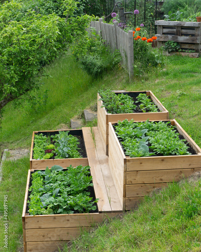 Create raised vegetable bed and garden 