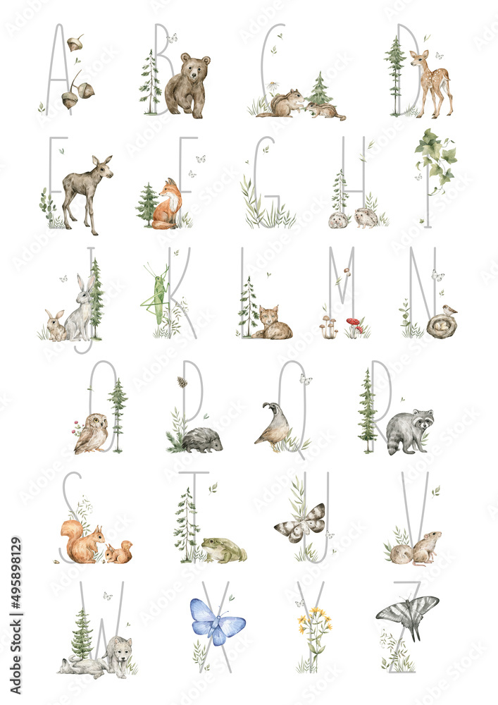 Alphabet with watercolor forest animals and nature elements. English alphabet. ABC teaching illustration. Cute creatures from the wild. preschool education