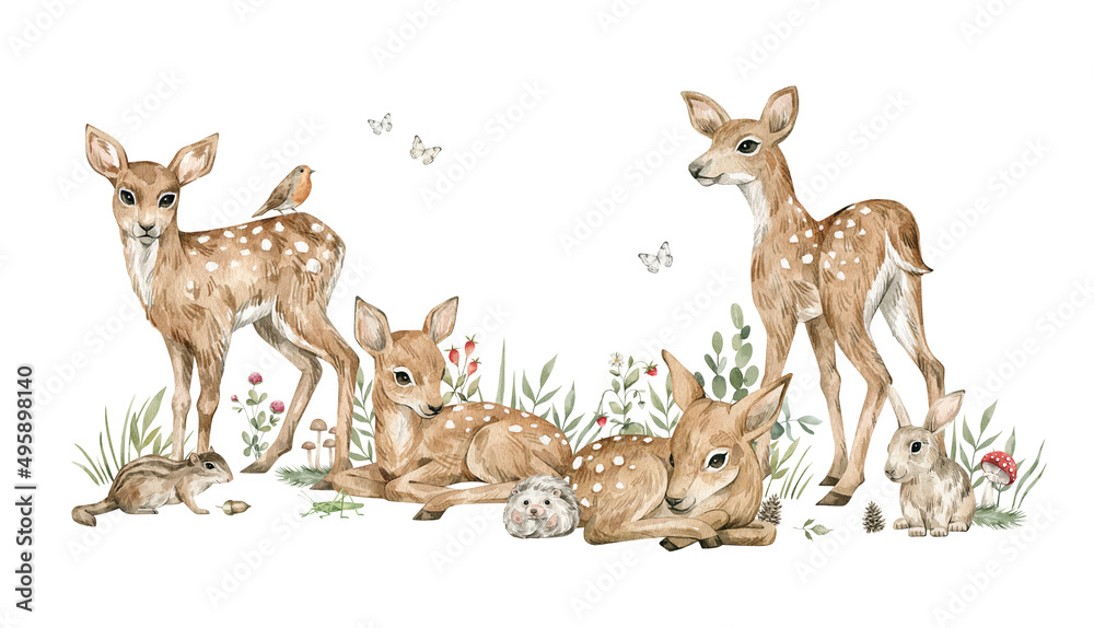 Fototapeta Watercolor forest baby animals. Cute deer, flowers, mushrooms, berries. Summer woodland, nature scene, valley. Wildlife creatures
