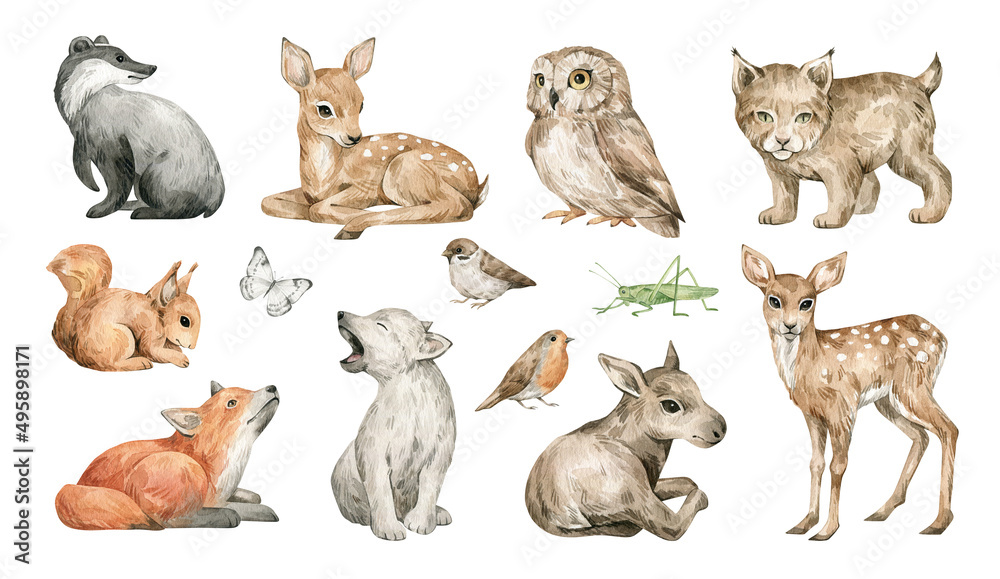 Fototapeta premium Watercolor cute forest animals. Badger, deer, owl, lynx, squirrel, fox, wolf, moose. Hand-painted woodland wildlife. 