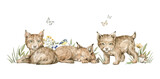 Watercolor forest baby animals. Cute lynx, flowers, wild cats. Summer woodland, nature scene, valley. Wildlife creatures