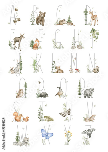 Alphabet with watercolor forest animals and nature elements. English alphabet. ABC teaching illustration. Cute creatures from the wild. preschool education