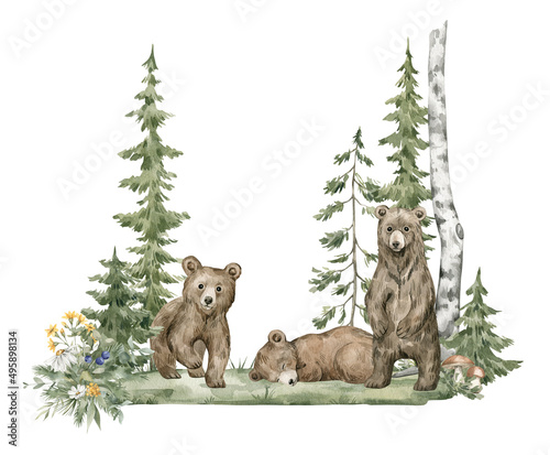 Photography Watercolor composition with forest animals and natural elements