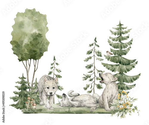 Photography Watercolor composition with forest animals and natural elements