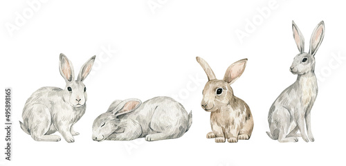 Watercolor cute forest animals. Hare, rabbit, bunny. Hand-painted woodland wildlife. 