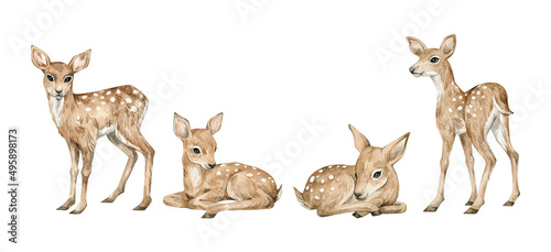 Watercolor cute forest animals. Baby deers. Hand-painted woodland wildlife. 