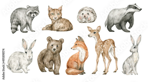 Canvastavla Watercolor cute forest animals