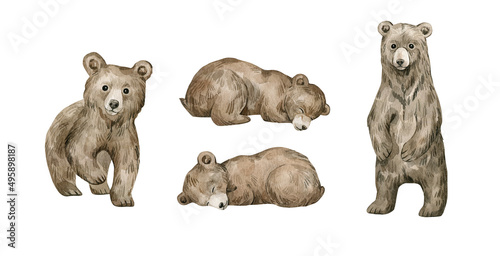 Photography Watercolor cute forest animals