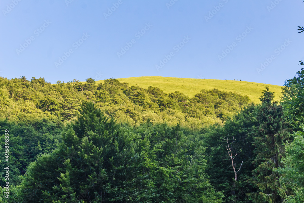 Fototapeta premium skyline in the mountains in summer..