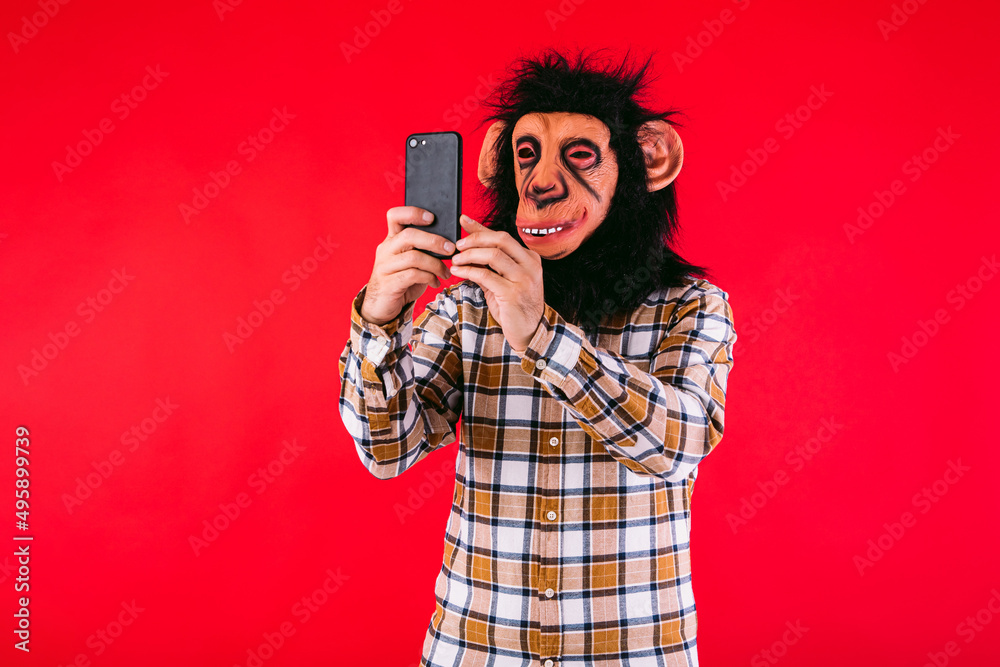 Obraz premium Man with chimpanzee monkey mask and plaid shirt, consulting his mobile phone, on red background.