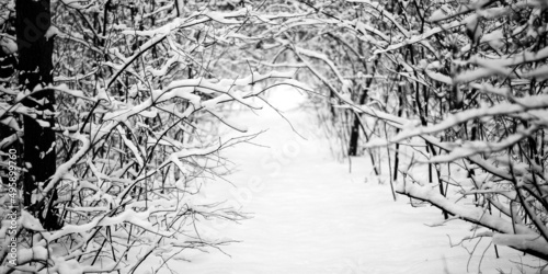Krajobraz zimowy, śnieg, rzeka © mana_studio