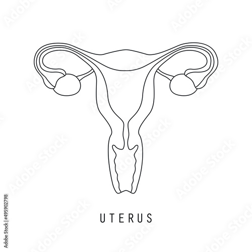 female reproductive system women uterus ovary icon