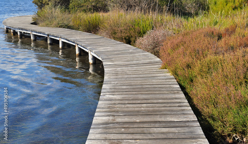 Fotografia wooden footbridge over water at the shore of a lake