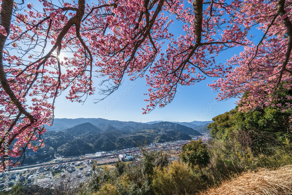 河津城跡公園の展望台の風景【静岡県・賀茂郡・河津町】
Observation deck of Kawazu town famous for cherry blossoms - Shizuoka prefecture, Japan 河津城跡公園の展望台の風景【静岡県・賀茂郡・河津町】
Observation deck of Kawazu town famous for cherry blossoms - Shizuoka prefecture, Japan