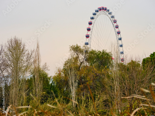 a big ferris wheel and nature view © enginakyurt
