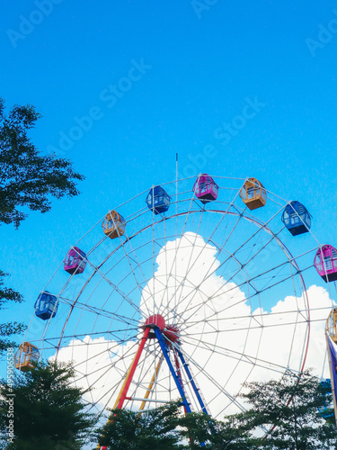 ferris wheel in the park