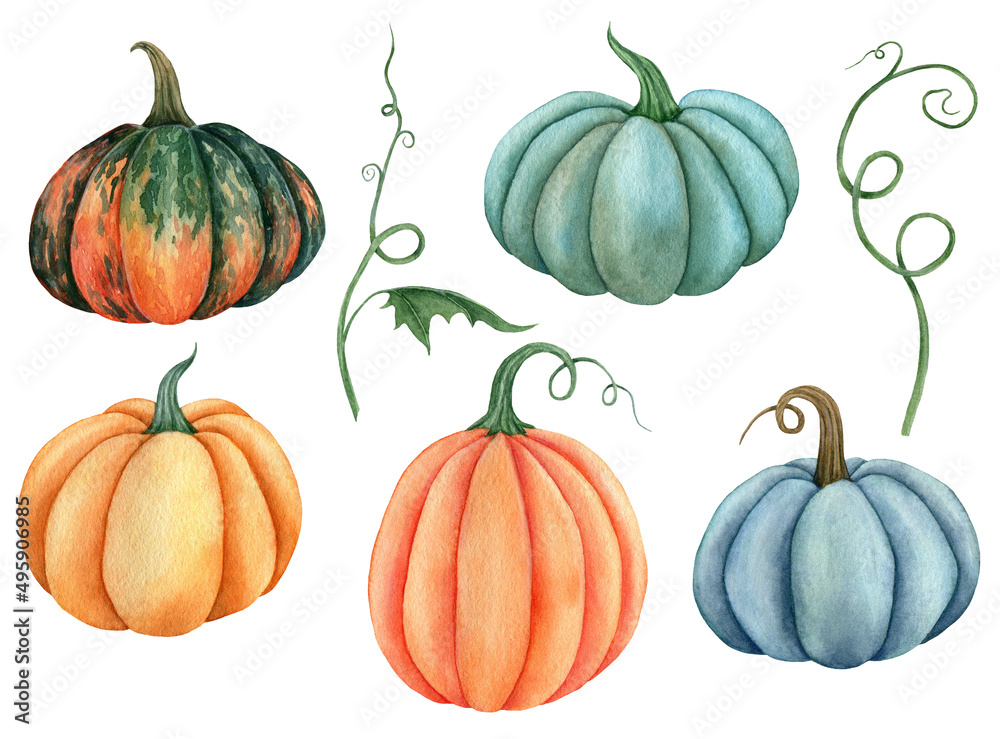 Watercolor pumpkin illustration isolated on the white background - obrazy, fototapety, plakaty 