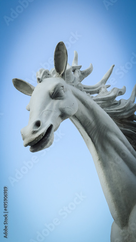 Fototapeta Naklejka Na Ścianę i Meble -  head of horse