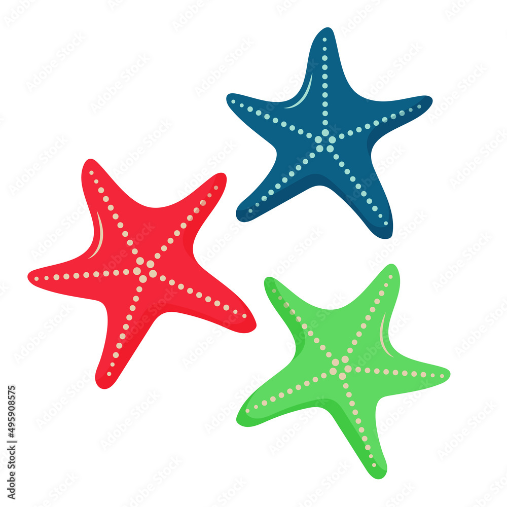 Starfishes with Different Colors. Vector illustration.