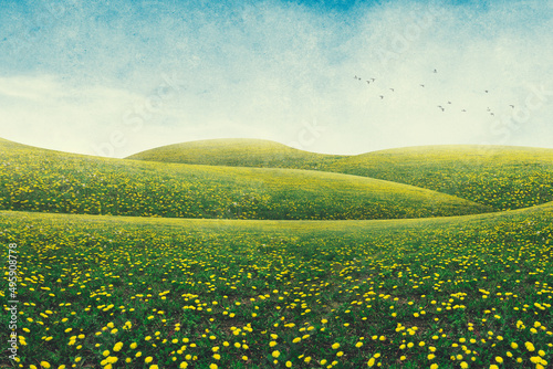 hills with flowers, colorfu...