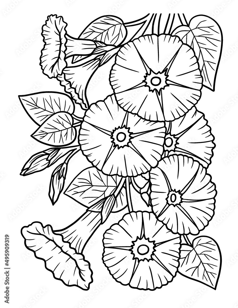 Morning Glory Flower Coloring Page for Adults
