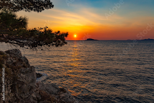 Sunset on the sea, rocks and pines