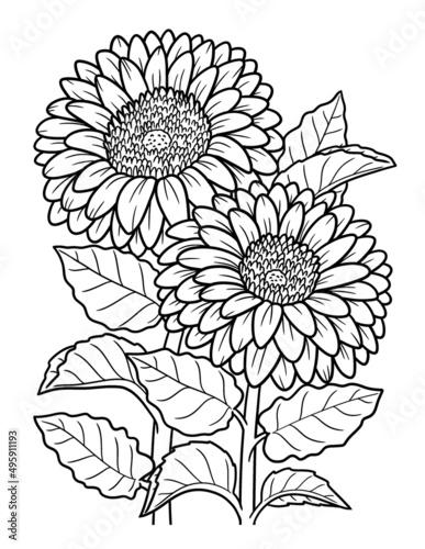 Gerbera Flower Coloring Page for Adults