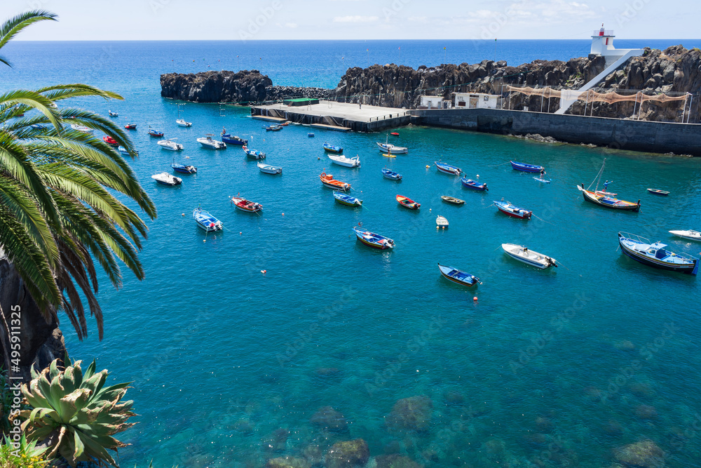 Obraz premium Camara de Lobos harbor and plants, Madeira island 