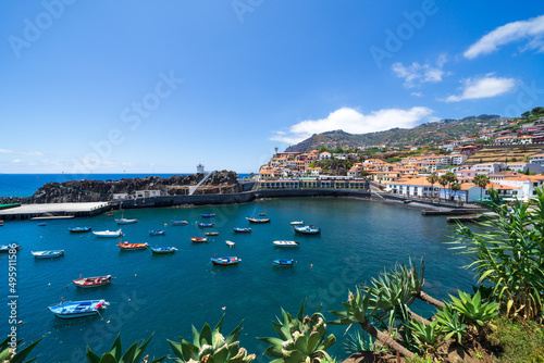 Camara de Lobos harbor and plants, Madeira island 