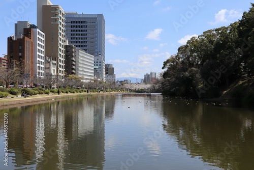 Buildings in the city reflect on the surface of the pond