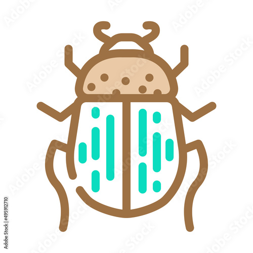beetle bug egypt color icon vector. beetle bug egypt sign. isolated symbol illustration