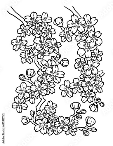 Cherry Blossom Coloring Page for Adults