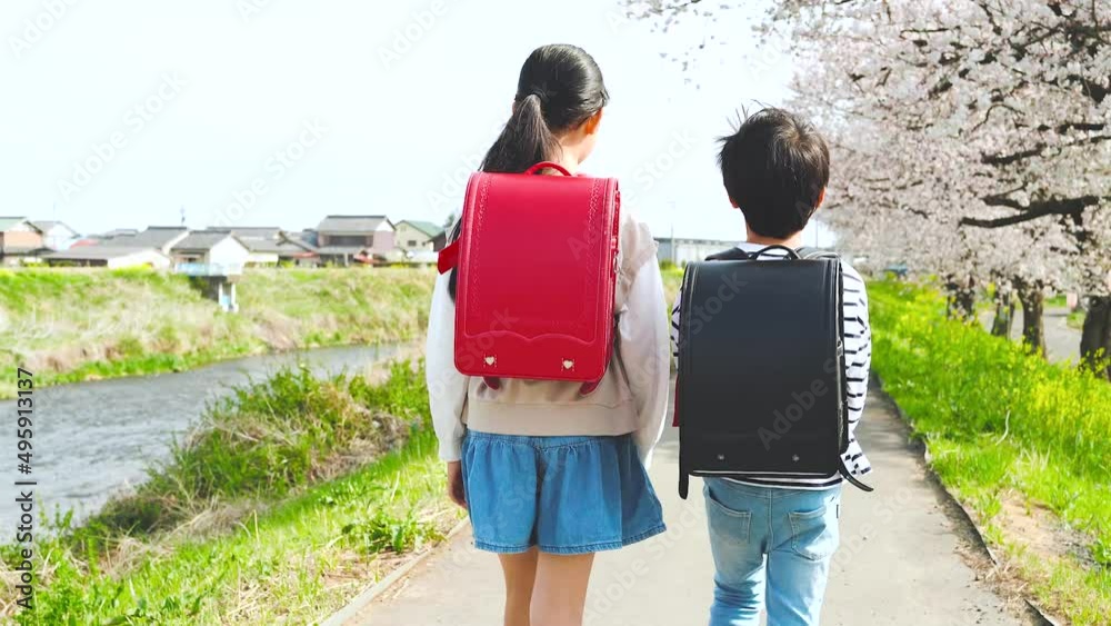 学校に登校する小学生の男の子と女の子 Stock ビデオ | Adobe Stock