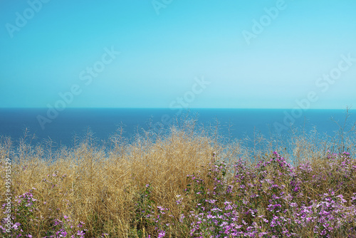 Seascape of cape Fiolent, Crimea, Ukraine in summer. Travel, annexation concept. 