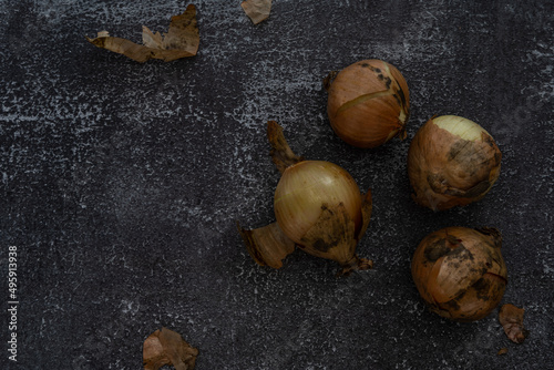 Onions lying on a rustic background, with empty space on left side for text. Still life food photography