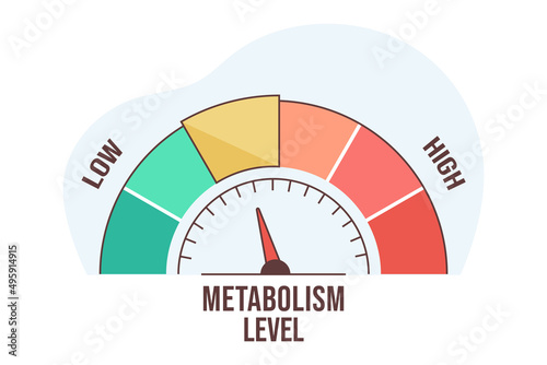 Flat vector illustration of metabolism level scale with arrow and measurement value. High and low nutrient metabolic rate. Infographic gauge element with speedometer indicators on white background. photo