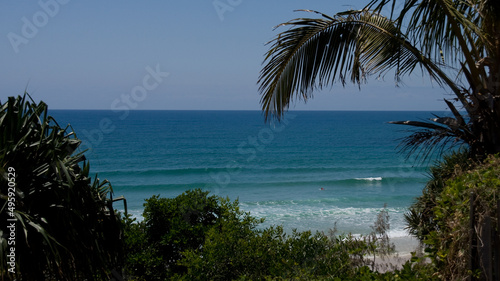 beach with trees