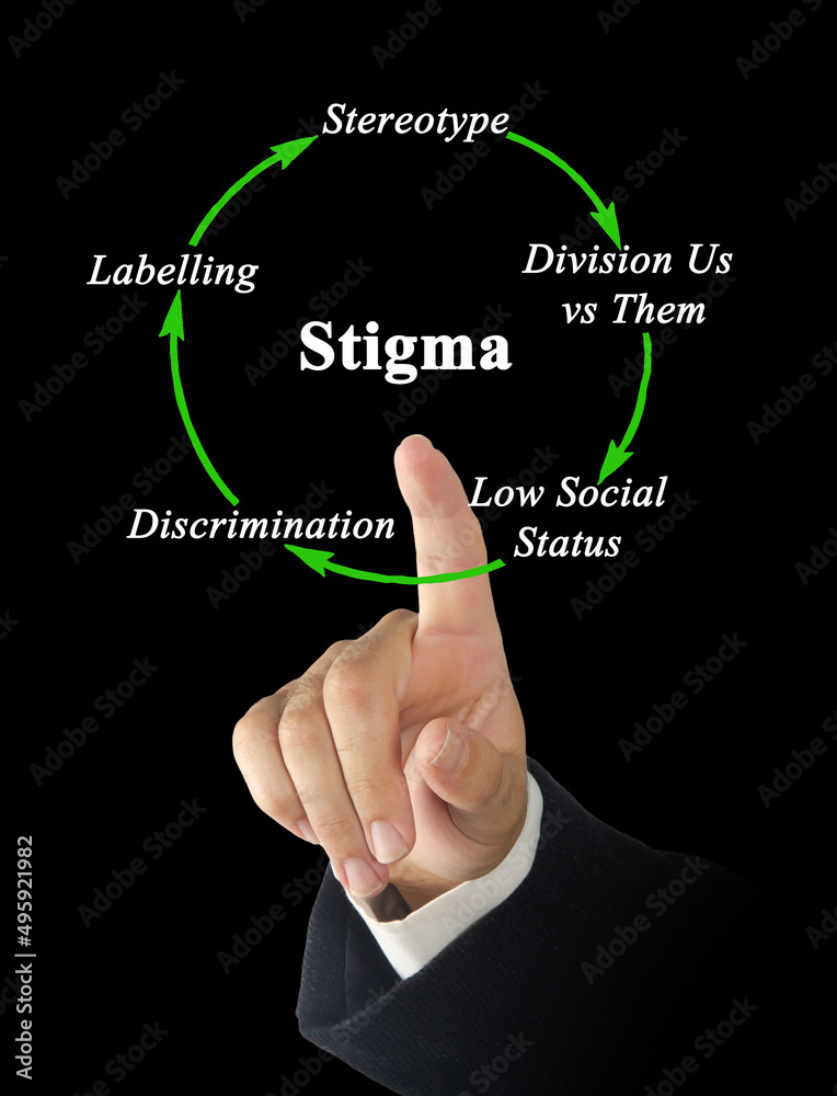 Components of cycle of stigma Components of cycle of stigma