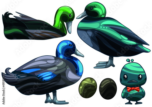 A set of hand drawn ducks The breed of Black east indie duck