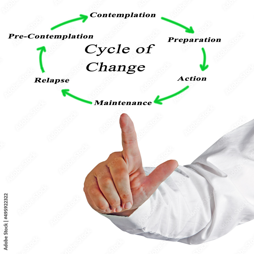 Components of Cycle of Changelication life cycle Components of Cycle of Changelication life cycle