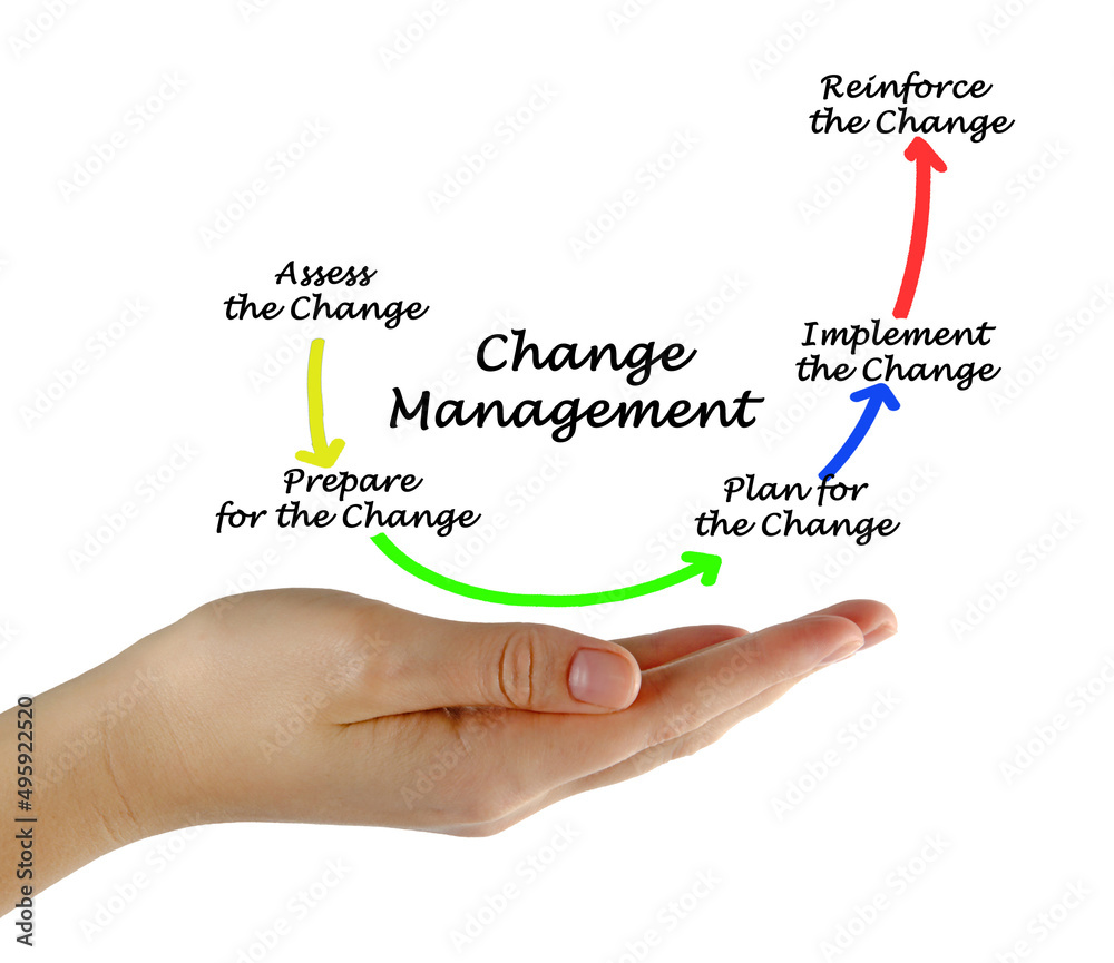 Components of Change Management Process. Components of Change Management Process.
