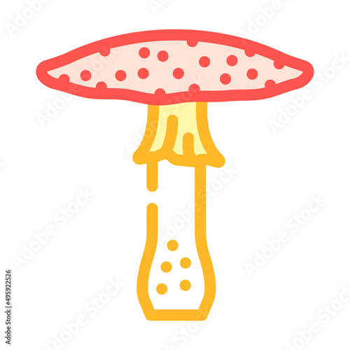 toadstool mushroom color icon vector. toadstool mushroom sign. isolated symbol illustration