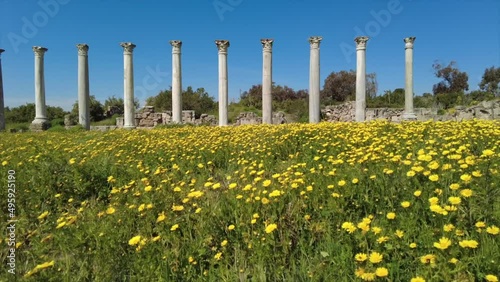 Salamis is an ancient Greek city-state on the east coast of Cyprus, at the mouth of the river Pedieos, 6 km north of modern Famagusta.  photo