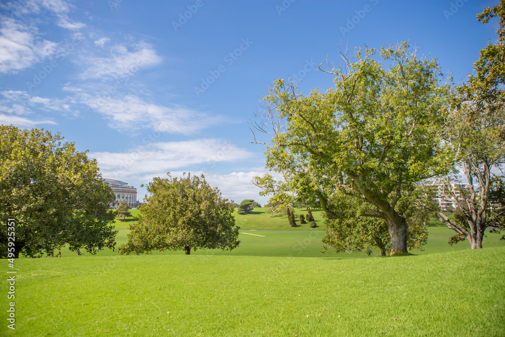 Fototapeta premium Auckland Domain Park, New Zealand
