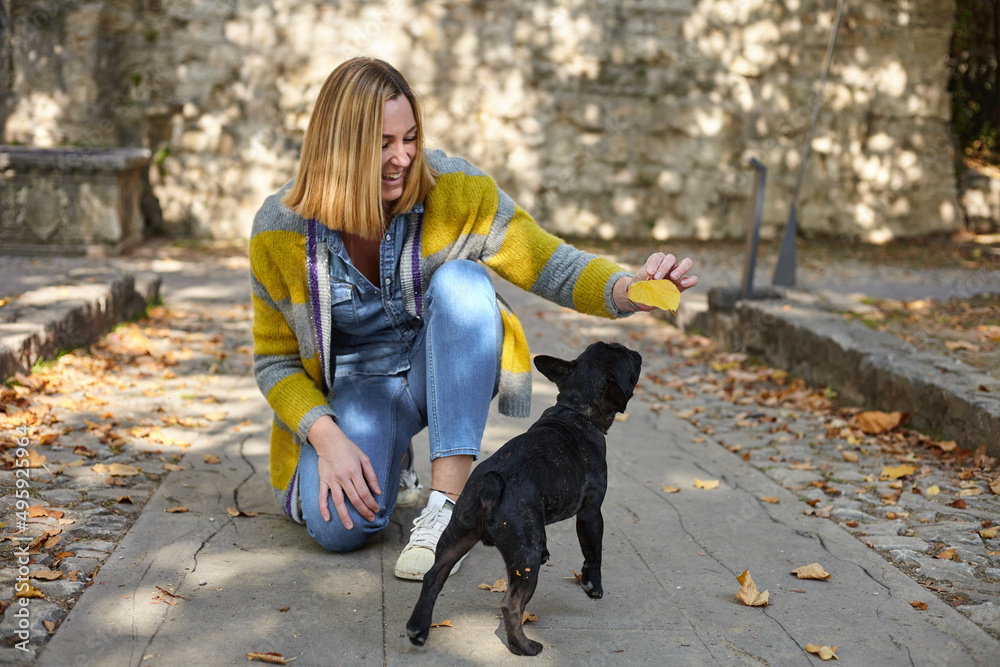 happy young woman with french bulldog outdoors happy young woman with french bulldog outdoors