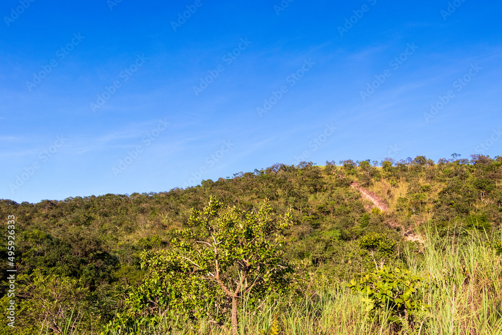 Mountain with green vegetation and blue sky.