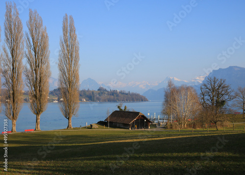 Εκτύπωση καμβά Golden poplars at the shore of Lake Lucerne.