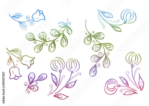 Set multicolor flower and leave on white background. Provence illustration. Tulip and dandelion flower
