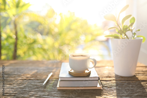 Coffee mug and notebook and Baby Rubber Plant on weathered wooden table